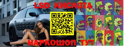 индика Сланцы
