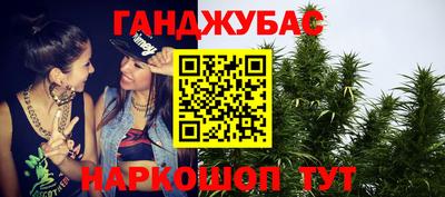 индика Сланцы