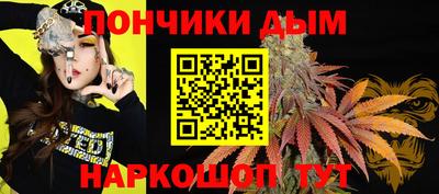 индика Сланцы