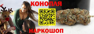 спиды Славгород