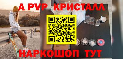 индика Сланцы