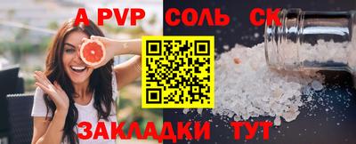 индика Сланцы