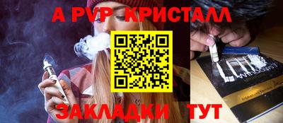 индика Сланцы