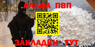 индика Сланцы
