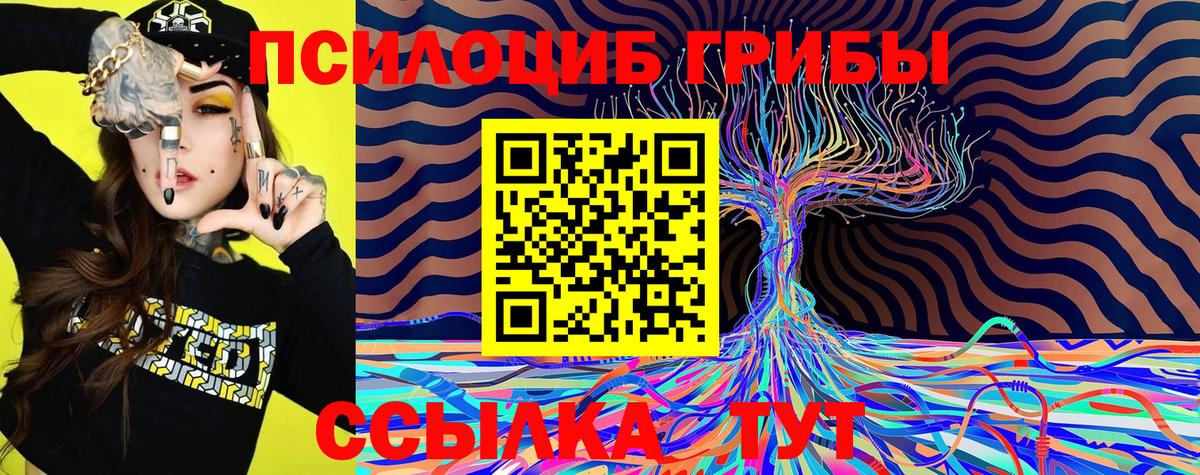 Псилоцибиновые грибы мухоморы  Вход с VPN  где продают   Новороссийск 